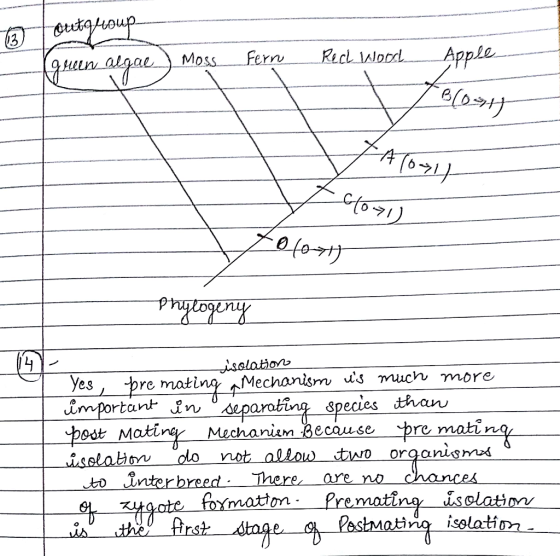 Fern Recl laloodl ple on2 Yes pre mating Mechonism s muen more important ỵn Species odt Mati Mechanism .Because re mati organ