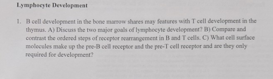 Lymphocyte Development 1. B cell development in the bone marrow shares may features with T cell development in the thymus. A)