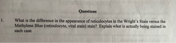 Questions 1. What is the difference in the appearance of reticulocytes in the Wrights Stain versus the Methylene Blue (retic