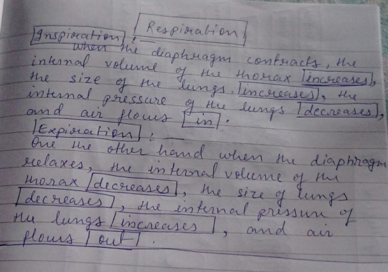 Respisralon nal veluuml hxe ize cun