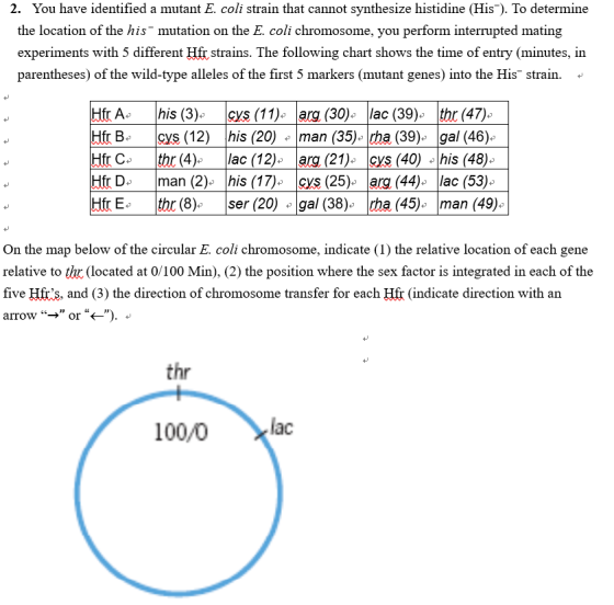 2. You have identified a mutant E. coli strain that cannot synthesize histidine (His). To determine the location of the his m