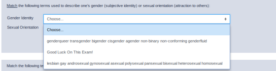 Match the following terms used to describe ones gender (subjective identity) or sexual orientation (attraction to others): G