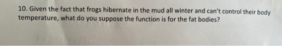 10. Given the fact that frogs hibernate in the mud all winter and cant control their body temperature, what do you suppose t
