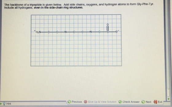 The backbone of a tripeptide is given below. Add s