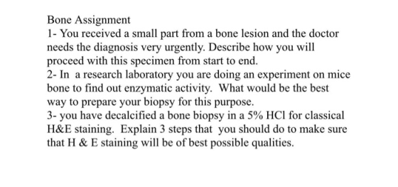 Bone Assignment 1 - You received a small part from a bone lesion and the doctor needs the diagnosis very urgently. Describe h