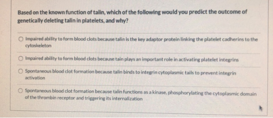 Based on the known function of talin, which of the following would you predict the outcome of genetically deleting talin in p