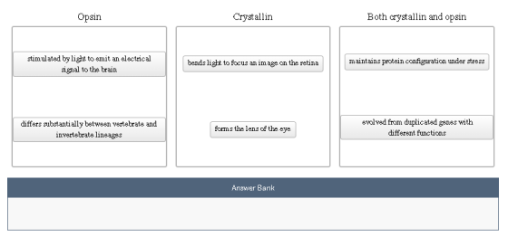 Opsin Crystallin Both crystallin and opsin stimulated by light to emit an electrical signal to the brain bends light to focus