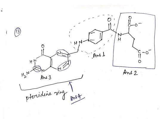 a , Ansl HY Hon to Ans 2 1 And 3 pteridine sing area
