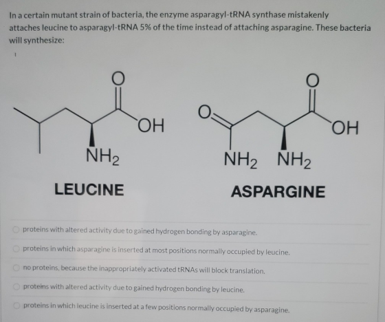 In a certain mutant strain of bacteria, the enzyme asparagyl-tRNA synthase mistakenly attaches leucine to asparagyl-tRNA 5% o