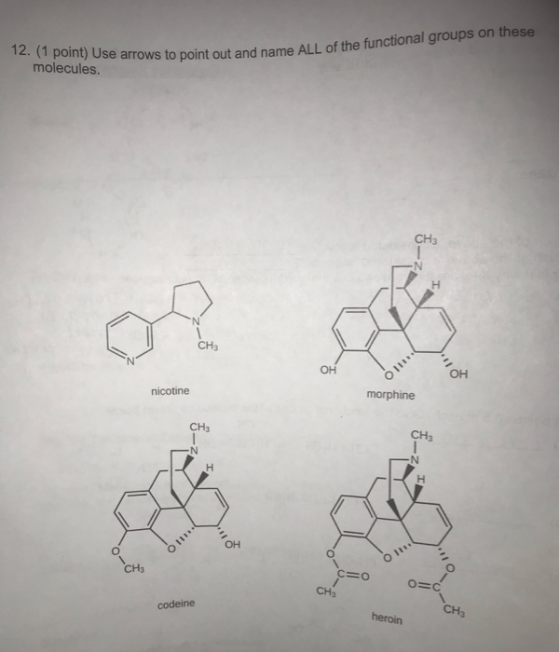 12. (1 point) Use arrows to point out and name ALL O molecules. s to point out and name ALL of the functional groups on these