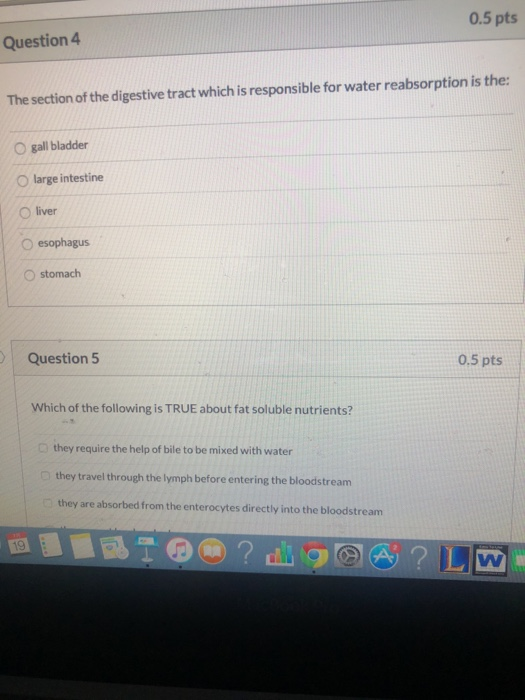 0.5 pts Question 4 The section of the digestive tract which is responsible for water reabsorption is the: gall bladder large