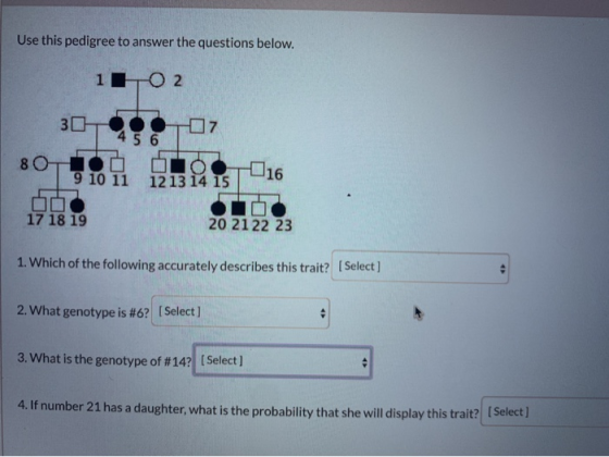 Use this pedigree to answer the questions below. 102 30 80 1 15 116 17 18 19 20 21 22 23 1. Which of the following accurately