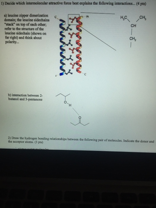 Decide which intermolecular attractive force best