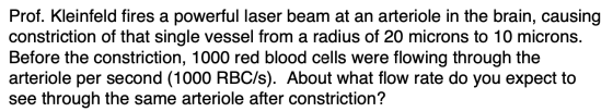 Prof. Kleinfeld fires a powerful laser beam at an arteriole in the brain, causing constriction of that single vessel from a r