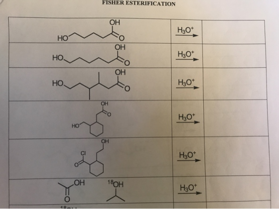 FISHER ESTERIFICATION H3O+ НО НО, H30+ НО. H30+ H3O+ НО H3O+ ОН 18ОН H3O+