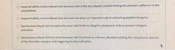 Impaired ability to form blood clots because talin is the key adaptor protein linking the platelet cadherins to the cytoskele