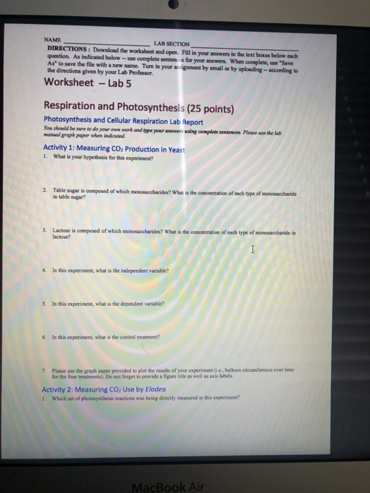 NAME LAB SECTION DIRECTIONS: Download the worksheet and open. Fill in your swers in the text boxes below each question. As in