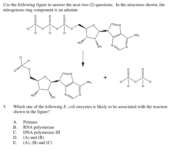 Use the following figure to answer the next two (2) questions. In the structures shown, the nitrogenous ring component is an