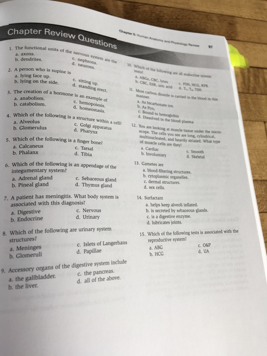 Chapter Review o Beview Questions 1. The functional uni a. axons b, dendrites ional units of the nervous system are the w c.