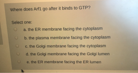 Where does Arf1 go after it binds to GTP? Select one: O a. the ER membrane facing the cytoplasm O b. the plasma membrane faci