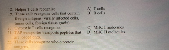 A) T cells B) B cells 18. Helper T cells recognize. 19. These cells recognize cells that contain foreign antigens (virally in