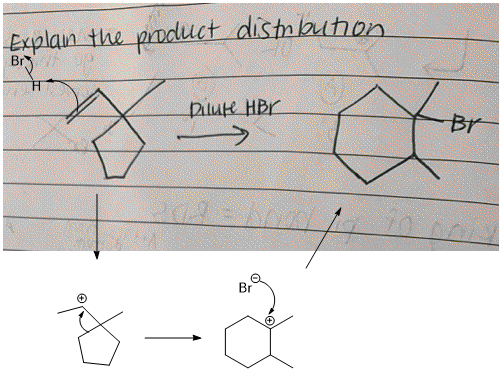 Explain the product distbuton. Br рlак HPr Br