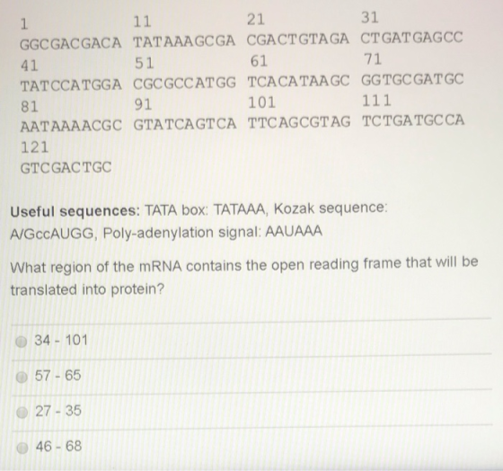 31 21 11 1 GGC GACGACA TATAAAGCGA CGACTGTAGA CTGATGAGCC 61 71 51 41 TATCCATGGA CGCGCCATGG TCACATAAGC GGTGC GAT GC 101 111 91