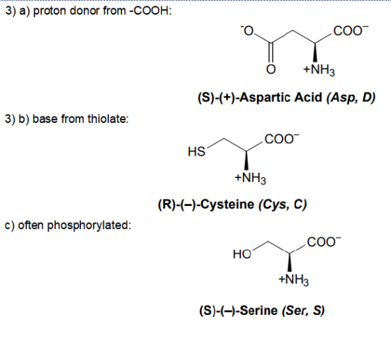 3) a) proton donor from -COOH: to a C00 O +NH3 (S)-(+)-Aspartic Acid (Asp, D) 3) b) base from thiolate: HS HS Coo +NH3 (R)-(-