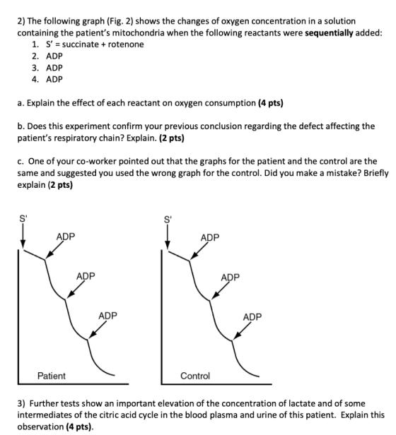 2) The following graph (Fig. 2) shows the changes of oxygen concentration in a solution containing the patients mitochondria