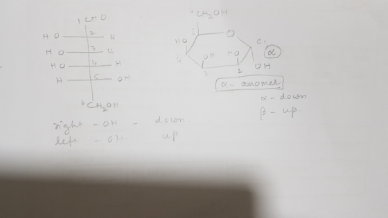 2 HO HO HO H HO 2 2 anomer doun CH2ON p-up doon