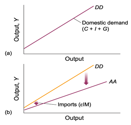 DD Output, Y Domestic demand (C+ + G) Output DD - AA Output, Y Imports (EIM) (b) Output
