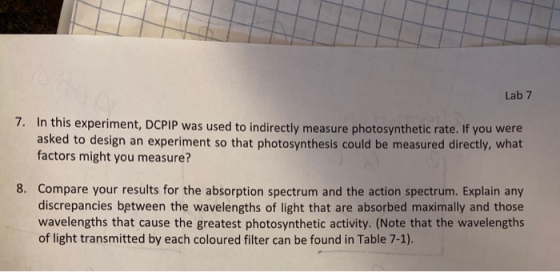 Lab 7 7. In this experiment, DCPIP was used to indirectly measure photosynthetic rate. If you were asked to design an experim