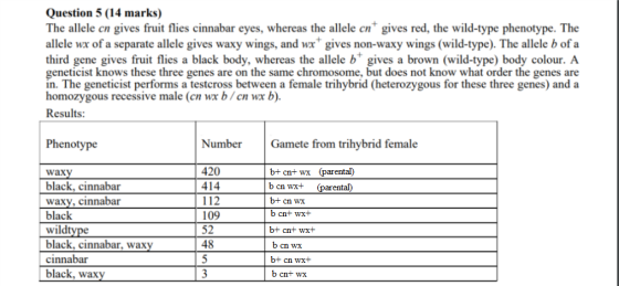 Question 5 (14 marks) The allele cn gives fruit flies cinnabar eyes, whereas the allele cn gives red, the wild-type phenotype