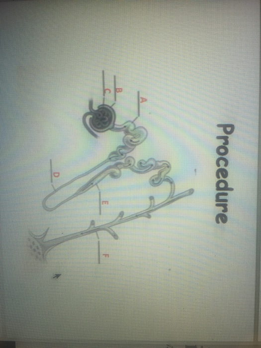 Procedure D