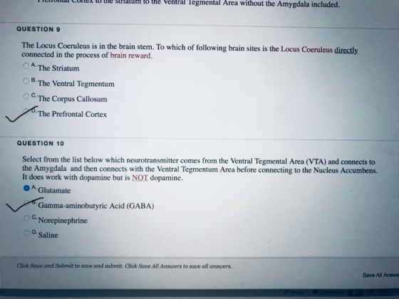 urlel to ule stlatum to the Ventrallegmental Area without the Amygdala included. QUESTION 9 The Locus Coeruleus is in the brain stem. To which of following brain sites is the Locus Coeruleus directly connected in the process of brain reward. A. The Striatum O B. The Ventral Tegmentum C.The Corpus Callosum The Prefrontal Cortex QUESTION 10 Select from the list below which neurotransmitter comes from the Ventral Tegmental Area (VTA) and connects to the Amygdala and then connects with the Ventral Tegmentum Area before connecting to the Nucleus Accumbens. It does work with dopamine but is NOT dopamine. O A Glutamate Gamma-aminobutyric Acid (GABA) C-Norepinephrine D. Saline Click Save and Submit to save and submit. Click Save All Answers to save all answers. Save All Answe