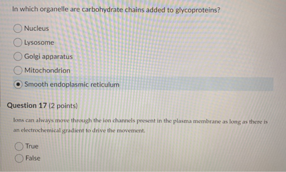 In which organelle are carbohydrate chains added to glycoproteins? Nucleus Lysosome Golgi apparatus Mitochondrion Smooth endo