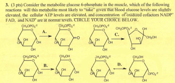 3. (3 pts) Consider the metabolite glucose 6-phosphate in the muscle, which of the following reactions will this metabolite m