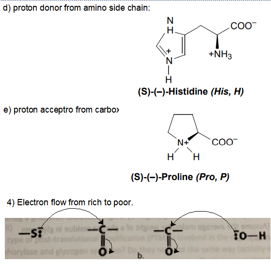 d) proton donor from amino side chain: Coo- I + +NH3 Z (S)-(-)-Histidine (His, H) e) proton acceptro from carbo) N+ coo Hн (S