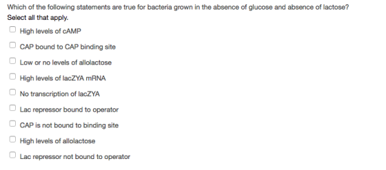 Which of the following statements are true for bacteria grown in the absence of glucose and absence of lactose? Select all that apply. High levels of cAMP CAP bound to CAP binding site Low or no levels of allolactose O High levels of lacZYA mRNA No transcription of lacZYA Lac repressor bound to operator CAP is not bound to binding site O High levels of allolactose Lac repressor not bound to operator