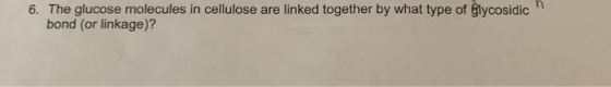 n 6. The glucose molecules in cellulose are linked together by what type of glycosidic bond (or linkage)?