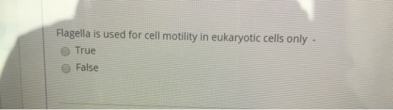 Flagella is used for cell motility in eukaryotic cells only e True False