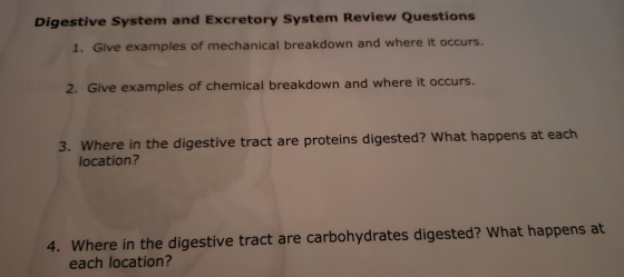 Digestive System and Excretory System Review Questions 1. Give examples of mechanical breakdown and where it occurs. 2. Give