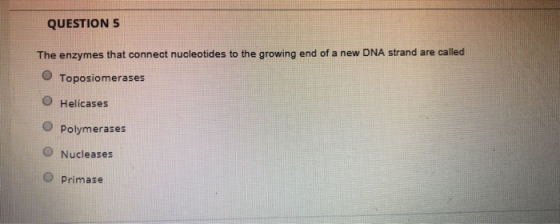 QUESTION 5 The enzymes that connect nucleotides to the growing end of a new DNA strand are called O Toposiomerases O Helicases polymerases Nucleases O Primase