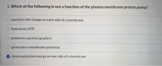 1. Which of the following is not a function of the plasma membrane proton pump? O equalizes the charge on each side of a memb