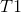 T1