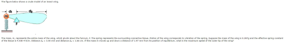 The figure below shows a crude model of an insect wing. di 02_- m mm The mass, m, represents the entire mass of the wing, whi