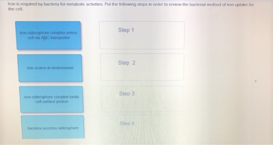 Iron is required by bacteria for metabolic activities. Put the following steps in order to review the bacterial method of iron uptake for the cell Step 1 ron-siderophore complex enters cell via ABC transporter Step 2 iron scarce in environment Step 3 iron-siderophore complex binds cell surface protein te bacteria secretes siderophore