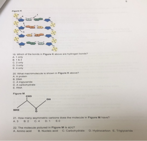 5 Figure K 3 19. Which of the bonds in Figure K above are hydrogen bonds? A. 1 only B. 1&2 C. 2 only D. 3 only E. 4 only 20.