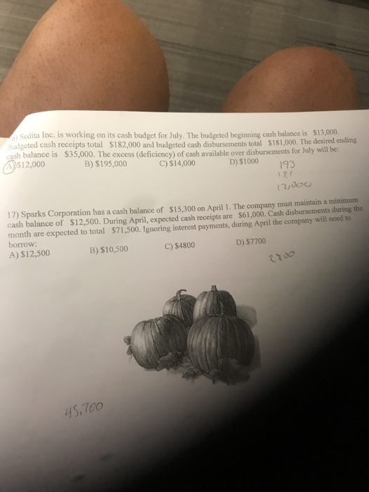 Sedita Inc. is working on its cash budget for July. The budgeted beginning cash balance is $13,000. Budgeted cash receipts to