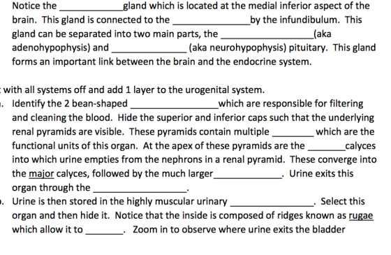 Notice the brain. This gland is connected to theby the infundibulum. This gland can be separated into two main parts, the adenohypophysis) and forms an important link between the brain and the endocrine system. gland which is located at the medial inferior aspect of the (aka (aka neurohypophysis) pituitary. This gland with all systems off and add 1 layer to the urogenital system. which are responsible for filtering Identify the 2 bean-shaped and cleaning the blood. Hide the superior and inferior caps such that the underlying renal pyramids are visible. These pyramids contain multiple functional units of this organ. At the apex of these pyramids are the into which urine empties from the nephrons in a renal pyramid. These converge into the major calyces, followed by the much larger organ through the Urine is then stored in the highly muscular urinary organ and then hide it. Notice that the inside is composed of ridges known as rugae which allow it to which are the calyces . Urine exits this . Select this Zoom in to observe where urine exits the bladder